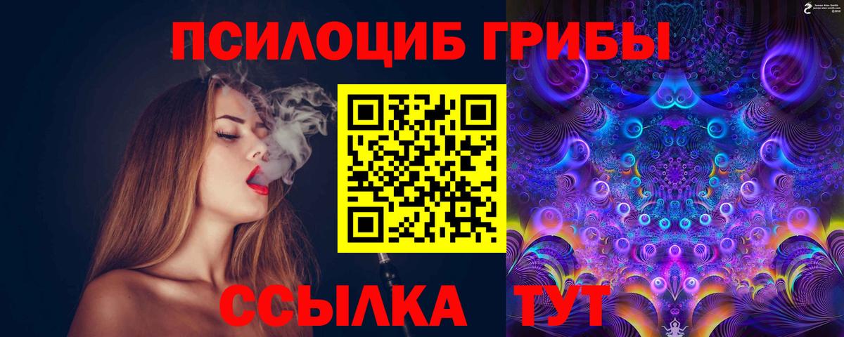 Галлюциногенные грибы прущие грибы Острогожск