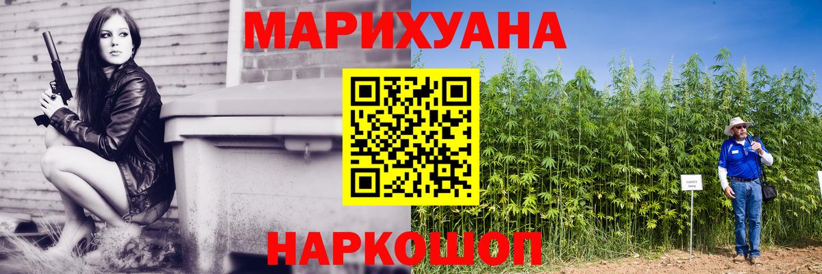 Марихуана сатива  Каннабис планчик  Острогожск  Конопля Amnesia  Вход с VPN 
