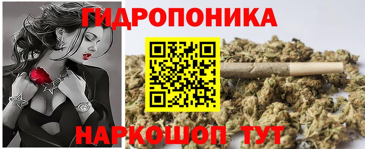 Канабис семена Острогожск